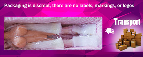 Screet-shipping-transport